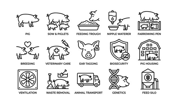 Pig farming and husbandry icons arranged on white background