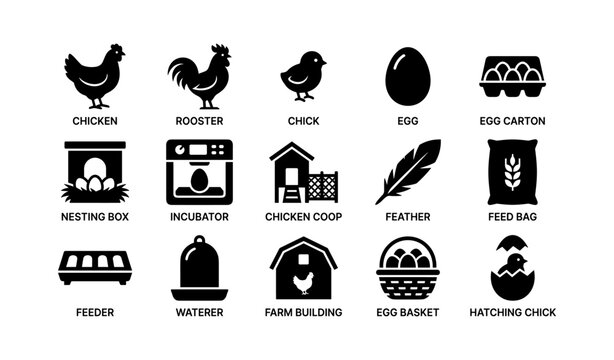 Set of poultry and egg icons showing chicken farm items