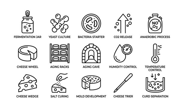 Cheese fermentation and aging icons showing tools and processes