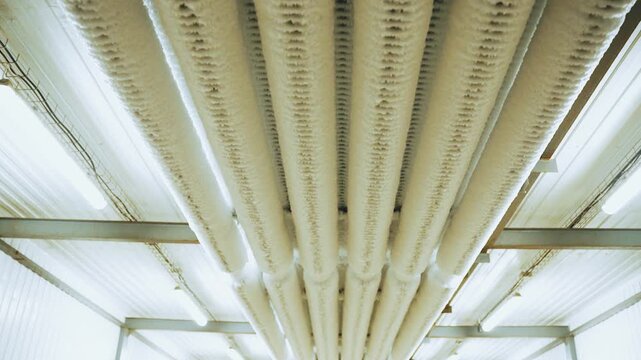 Component of freezing warehouse. Refrigerator. Frost-covered pipes in meat processing factory refrigeration chamber for frozen products. Engineering technologies for freezing products in facility.