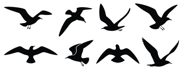 Obraz premium Soaring Silhouettes: A flock of gulls gracefully navigate the open air. Birds silhouette, seaside, avian, nature's design, ocean breeze.