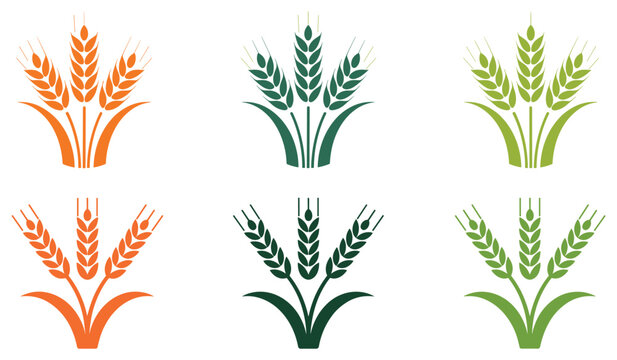 Golden Wheat: Collection of golden wheat, agriculture symbol, harvest time. wheat bundle, cereal plant, farming element.