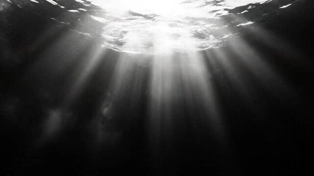 Black and white underwater view with ethereal light rays filtering through the water surface creating dramatic ambiance
