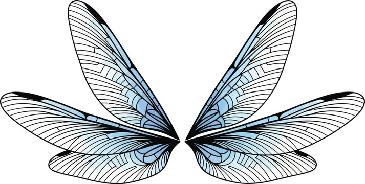 Detailed insect wings vector illustration with intricate vein patterns