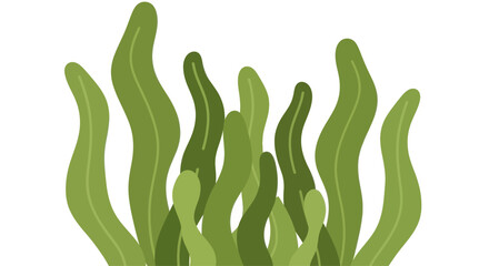 Green Seaweed Fronds Isolated on White Background © arina