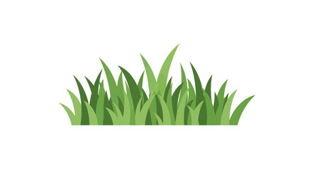 Green Grass Clump Isolated on White Background © dasha