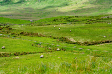 Obraz premium Sunlit mountains and green fields spread across the landscape near Killary Fjord in western Ireland. A broad rural panorama of the Connemara and Mayo border region.