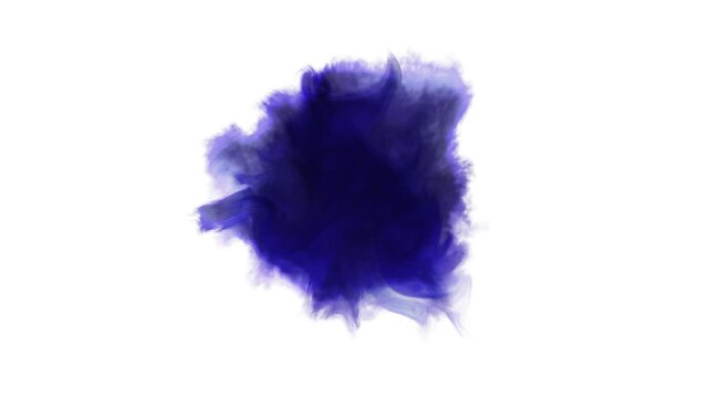 Center Ink Bleed 1- Animated purple ink drops or ink bleeds with texture, spreading on a white background.