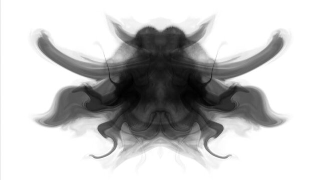 Animated rorschach test with ink bleeds expanding to form a symmetrical abstract design on a white background