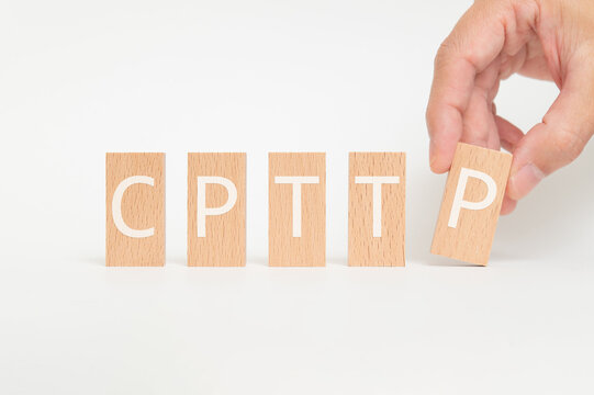 Environmental concept of CPTPP on wood blocks. Sustainable development and ecology focused imagery.