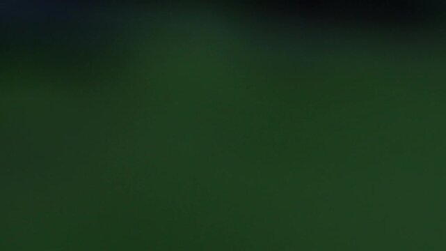 Blurred Dark Green Nature Abstract Background Vertical Video