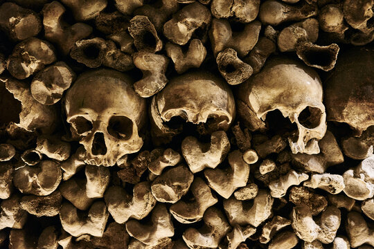 Eerie Human Bones and Skulls Arrangement Inside the Paris Catacombs
