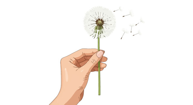 Detailed vector art of a woman's hand holding a mature dandelion flower clock with fluffy white seeds flying away into the air, isolated on a clean white background.