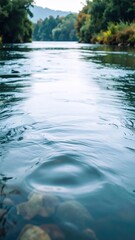 Fototapeta premium Calm Blue River Water Flowing Through Lush Green Forest Landscape