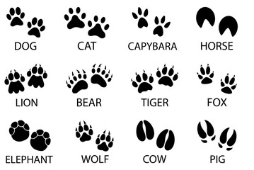 Obraz premium Set of Animal paw collection, footprint black and white, vector illustration icons