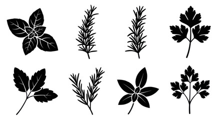 Fototapeta premium Set of Herbs Silhouette: Basil, Rosemary, Parsley Isolated on White Background