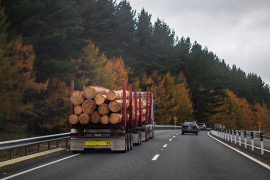 Logging Truck in Autumn