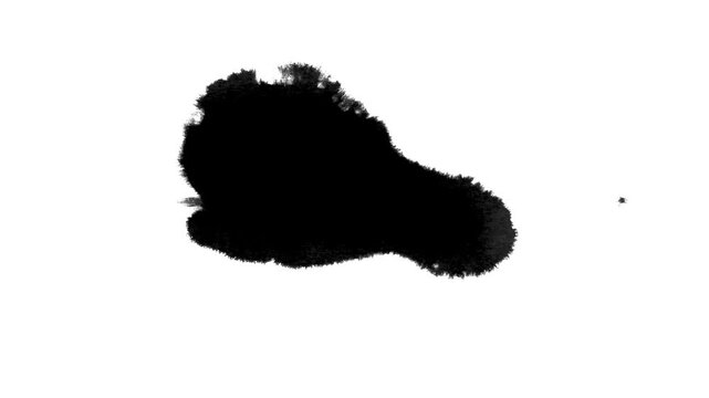 Single Small Comma Ink Drop Video Overlay - Tiny Tadpole Stain Footage Mini Ink Accent Effect for UI Cursor Indicator Poster Punctuation Mark Short Video Detail Accent Digital Art Brush Set