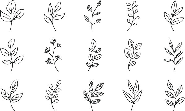 Minimalist botanical leaf doodle collection, hand drawn floral branch illustrations in simple black line art vector style
