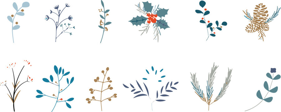 Minimal botanical branches and winter foliage collection, elegant hand drawn plant illustrations in modern vector style isolated background