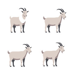 Obraz premium Four minimalist goat icons for animal livestock farm concept