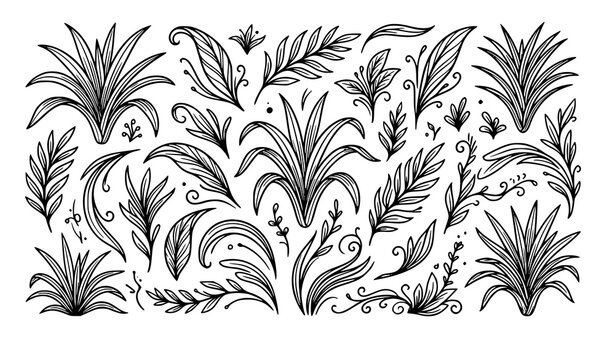 Modern pandan leaf graphic collection with black botanical doodle vector art
