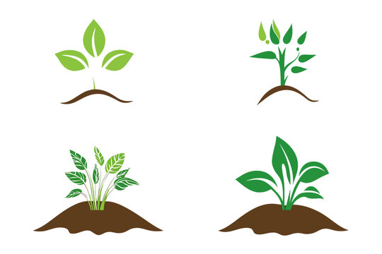 Four minimalist illustrations of plants, each growing from a mound of soil, in shades of green and brown
