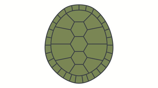 Simple vector illustration of a green turtle shell top view