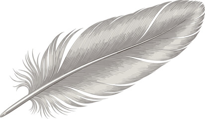 “Realistic black and white vector illustration of delicate feather with fine barbs and soft natural texture detail” © ISMOTARA