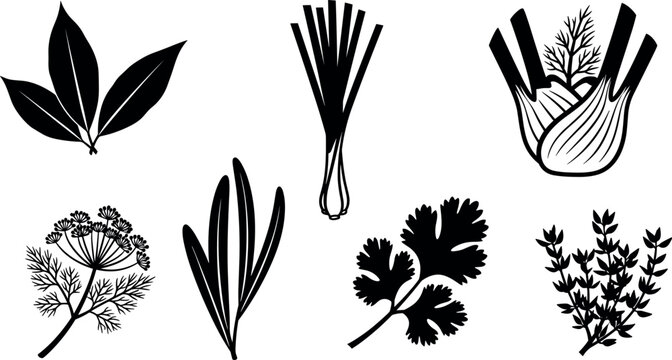 &ldquo;Black silhouette vector illustration of assorted culinary herbs including bay leaves, leeks, fennel, dill, rosemary, cilantro, and thyme&rdquo;