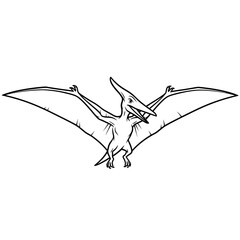Pterodactyl Illustration - Cartoon Dinosaur Flying Line Art © jarang