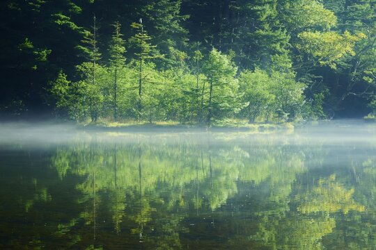 朝もや」の写真素材 | 4,367件の無料イラスト画像 | Adobe Stock