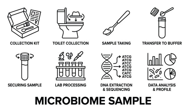 Microbiome sample collection process flowchart icons set, vector illustration.