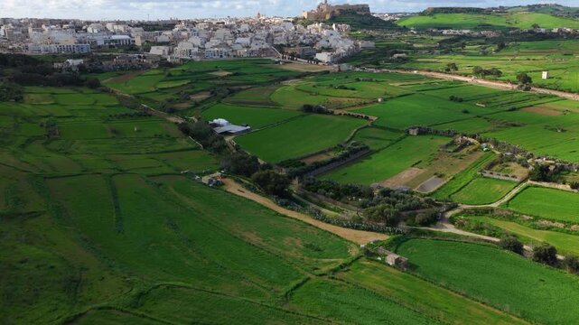 Extensive Agricultural Land With Green Terraced Fields Near Victoria On The Island Of Gozo In Malta. Aerial Drone Shot