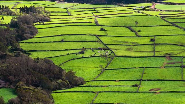 Serra do Cume Viewpoint (Miradouro da Serra do Cume) On Terceira Island, In The Azores, Portugal. Aerial Shot