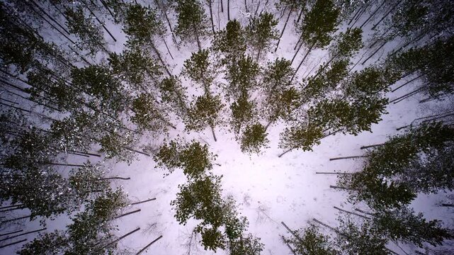 Aerial drone capture of snow-laden terrain following a storm in the Upper Peninsula
