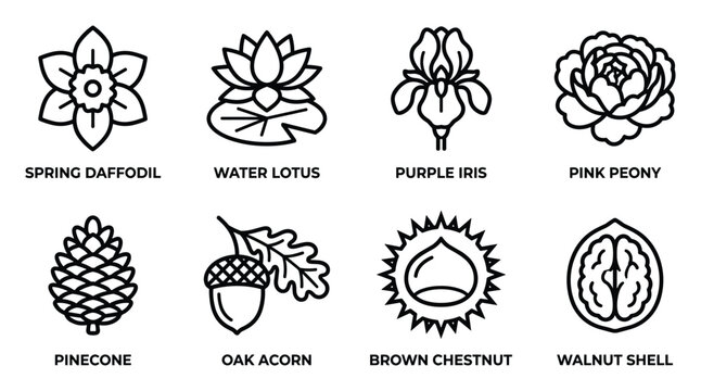 Set of floral and natural objects icons featuring flowers pinecone acorn chestnut and walnut shell.