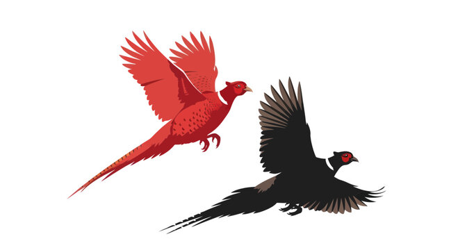 Two pheasants, one red and one black, flying in opposite directions against a white background.