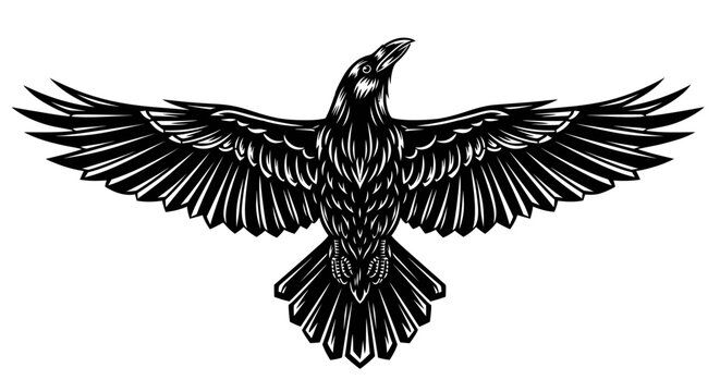 Detailed illustration of a raven in flight, showcasing outstretched wings and intricate feather patterns against a clean white background.