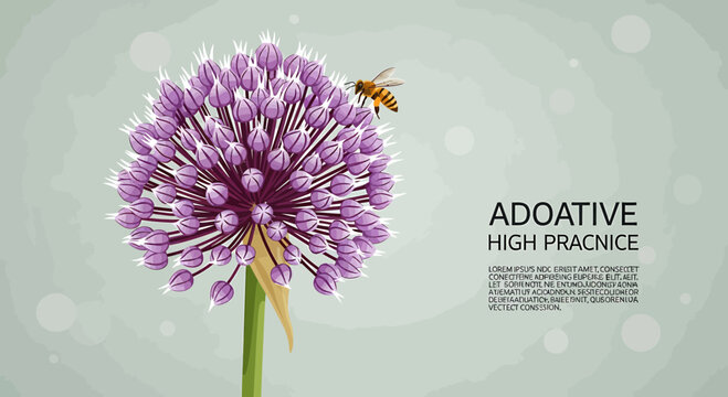 Honeybee on purple allium flower head with textured background