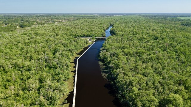 Aerial view of Sixmile Creek winding through a dense green forest with a long wooden boardwalk and a distant bridge in St. Johns County, Florida, United States.