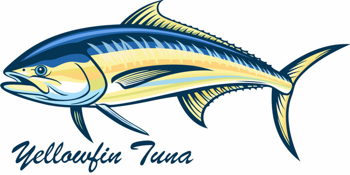 Yellowfin tuna illustration stylized aquatic wildlife graphic