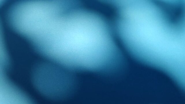 Soft moving leaf shadows creating natural pattern on blue background, showing aesthetic light and shadow effect.