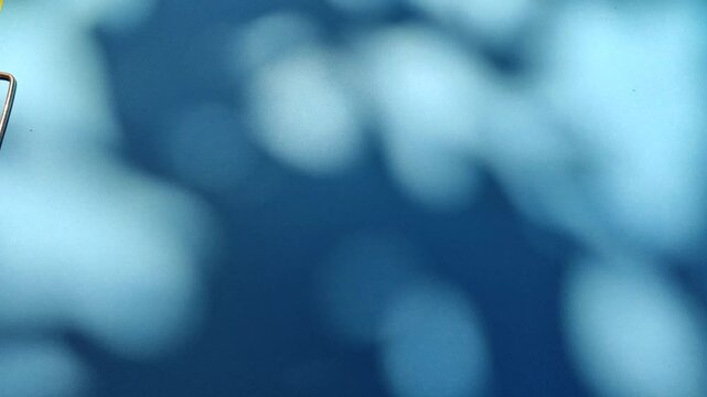 Soft moving leaf shadows creating natural pattern on blue background, showing aesthetic light and shadow effect.