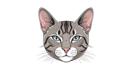 Fototapeta premium Cartoon cat head illustration with vector graphic design elements