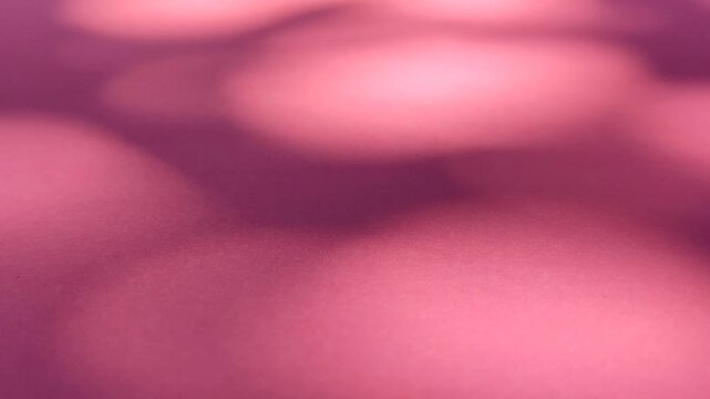 Soft moving leaf shadows creating natural pattern on pink background, showing minimalist light and shadow aesthetic.