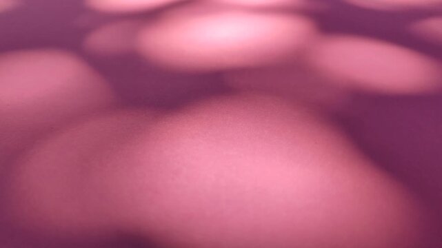Soft moving leaf shadows creating natural pattern on pink background, showing minimalist light and shadow aesthetic.