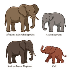 Fototapeta premium A charming cartoon illustration presenting the unique features and varying sizes of distinct elephant species from different habitats, alongside an adorable juvenile