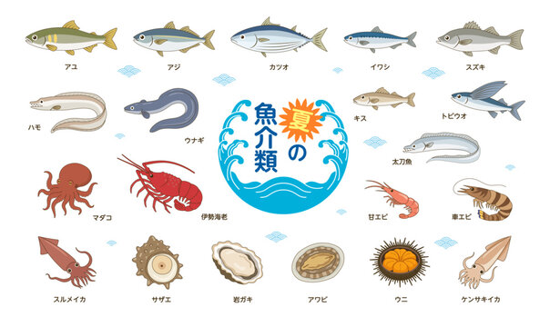 夏が旬の魚介類イラストセット｜青魚・イカ・タコ・エビ・貝などなどの海鮮素材集