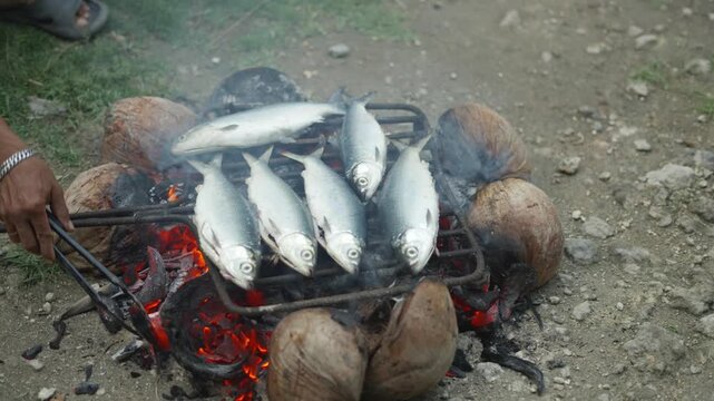 Traditional Filipino Bangus Grilling Over Burning Dried Coconut Husks with Fire Adjustment